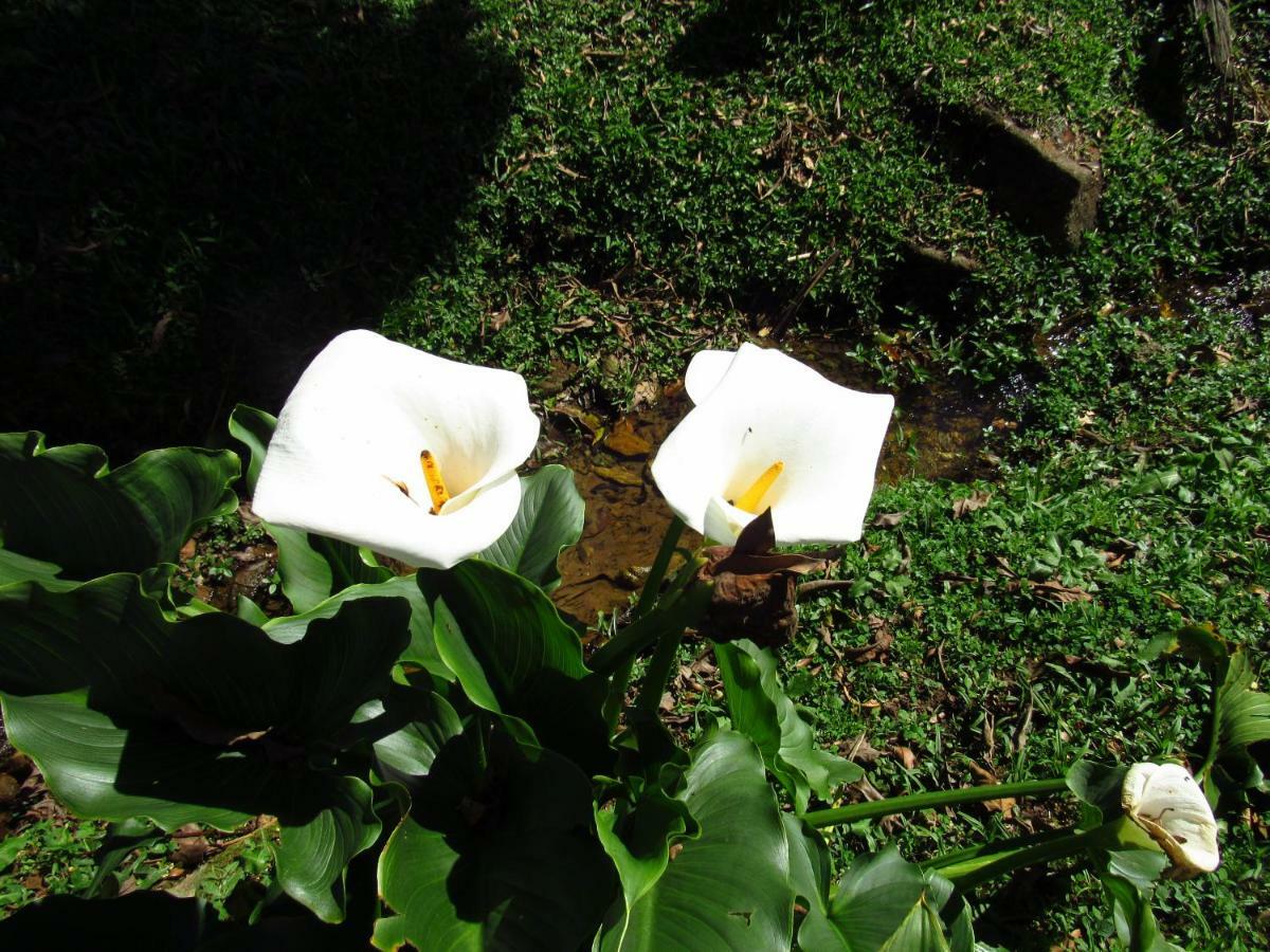 Cruzeiro Do Sul Casa de hóspedes Itatiaia (Rio de Janeiro)