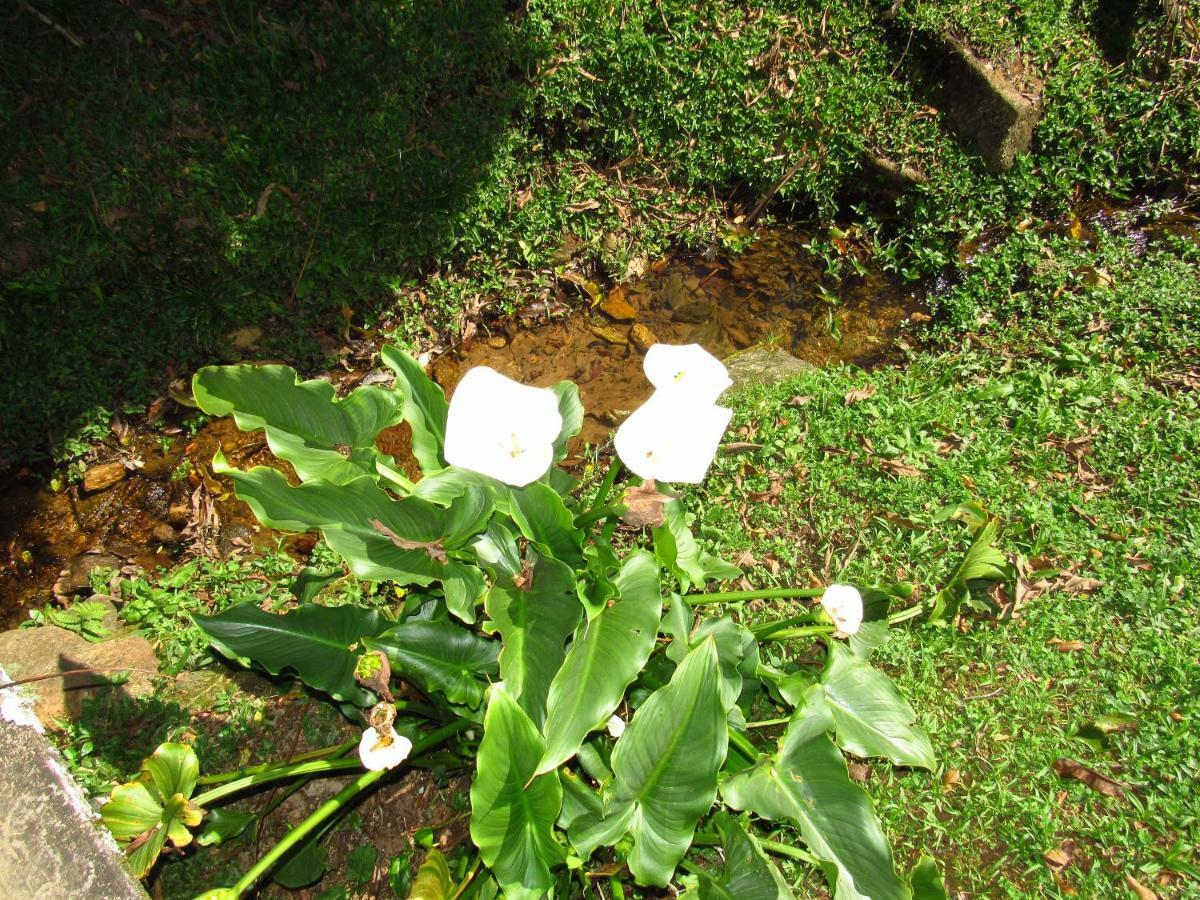 Cruzeiro Do Sul Guest house Itatiaia (Rio de Janeiro)
